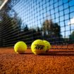 Court shoes designed for tennis and racquetball might look like other sneakers, but they feature invisible support