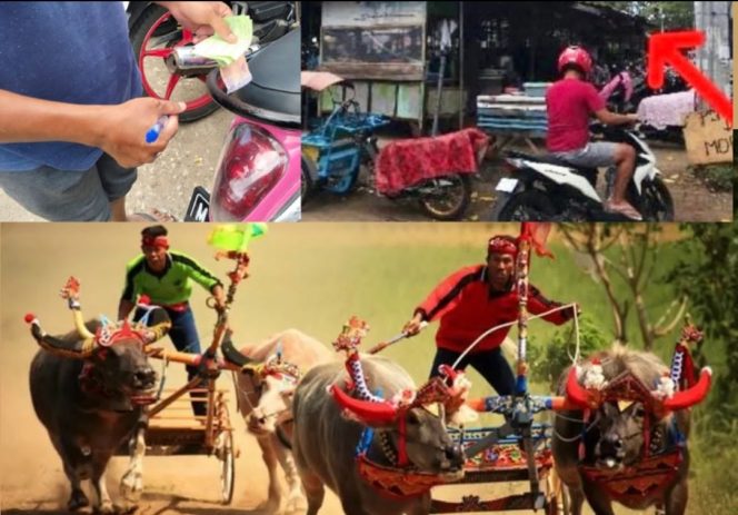 
					Foto : Aksi Pemalakan liar Petugas Parkir Disaat Acara Berlangsung Kerapan Sapi Calendar Event Di Sumenep 